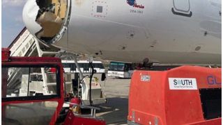 Avarie majoră din cauza unei păsări