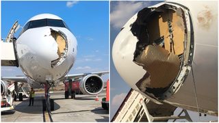 Avarie majoră din cauza unei păsări