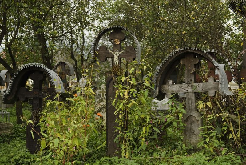 5 motive să vizitezi Maramureșul toamna