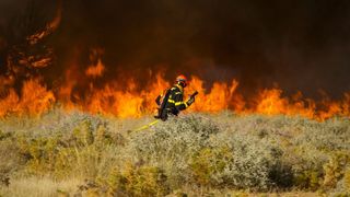 VIDEO Franța, cuprinsă de flăcări. 16 mii de hectare de vegetație s-au făcut scrum în cel mai mare incendiu din ultimii 20 de ani. Un om a murit, 13 sunt răniți: „O catastrofă de proporții”