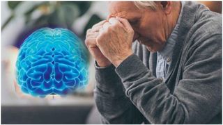 Care este cauza reală a bolii Alzheimer. Un nou studiu revoluționar a descoperit factorul-cheie care se pierde din organism