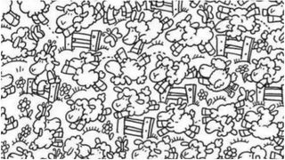 Test IQ - puișor în turma de oi