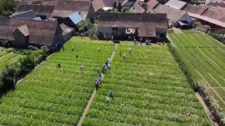 VIDEO Parfumul verii învăluie inima Sibiului. Sărbătoarea tuberozelor, eveniment unic în România