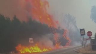 VIDEO Europa, lovită în plin de un nou val de căldură. Canicula extremă și incendiile devastatoare pun continentul în alertă maximă