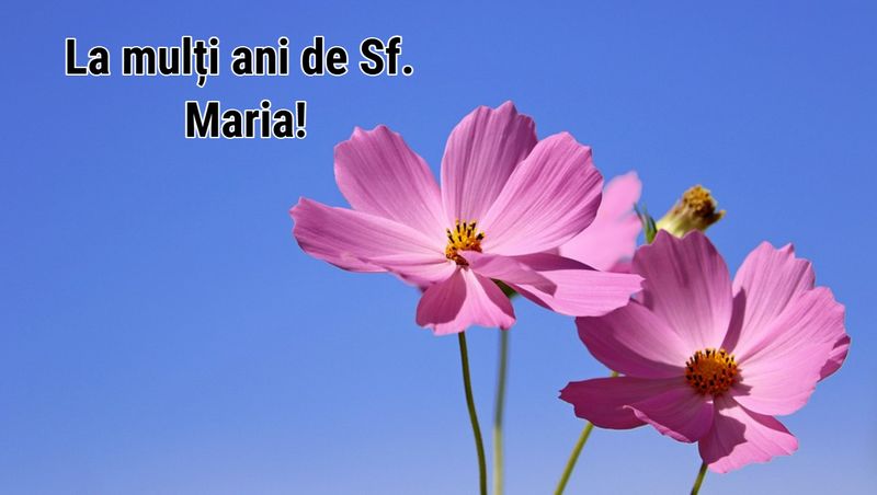 Felicitări de Sf. Maria