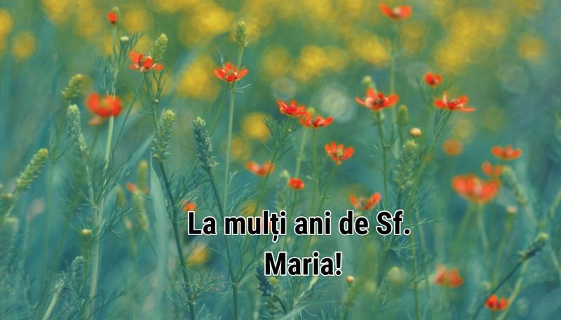 Felicitări de Sf. Maria
