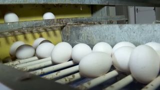 VIDEO România, sufocată de importuri. Avem tot mai puține produse românești