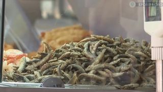 VIDEO Litoralul românesc, între prețuri accesibile și tarife exagerate. Cât de adânc trebuie să bage mâna în buzunar turiștii care ajung la mare