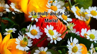 Mesaje de Sf. Maria: Urări pentru cei care își serbează onomastica