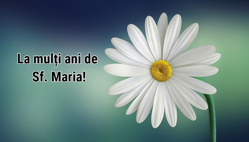 Mesaje de Sf. Maria