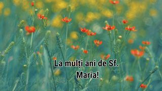 Urări de Sfânta Maria: Mesaje cu La mulți ani pentru sărbătoriții zilei