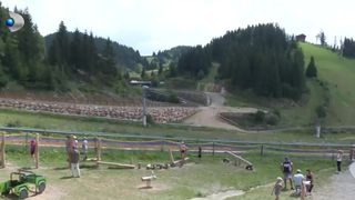 VIDEO „Am venit să scăpăm de căldura din București”. Au ales răcoarea în minivacanță