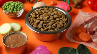 Citește cu atenție ambalajul hranei pentru pisici! Top ingrediente care ar trebui să-ți dea de g&acirc;ndit &icirc;n privința calității m&acirc;ncării