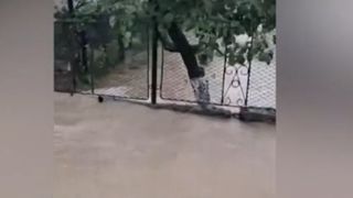 VIDEO Cod roșu de furtuni și inundații: 28 de județe din România, sub avertizări meteo