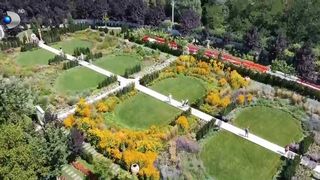 VIDEO &bdquo;Este impresionant&rdquo;. Grădinile din Hunedoara care atrag turiști