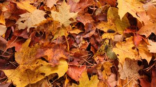 Prognoza ANM până la jumătatea lunii septembrie. Ce ne așteaptă în următoarele săptămâni