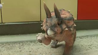 VIDEO „A fost senzațional”. Dinozaurii animatronici, atracția turiștilor