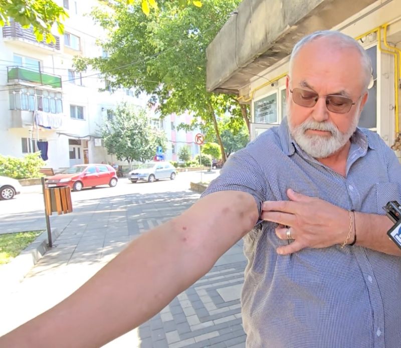 interventie, politia locala, pascani 