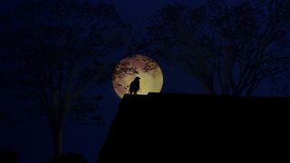 Luna Neagră de pe 23 august 2025 aduce surprize majore pentru toate zodiile