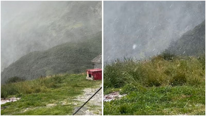 Ninge în Maramureș - august 2025