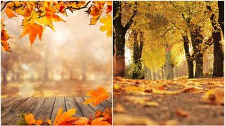 Vremea a luat-o razna! Revine canicula &icirc;n Rom&acirc;nia