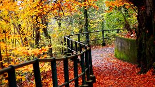 Echinocțiul de toamnă 2025. Când începe toamna astronomică