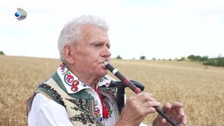 Jane Matei, artist popular