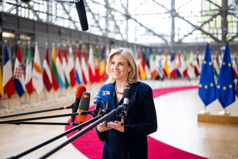 Beate Meinl-Reisinger, ministrul austriac de externe