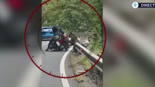 VIDEO La un pas de o altă tragedie pe Transfăgărășan. Momentul în care un motociclist italian este atacat de urs
