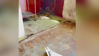 VIDEO Focar de infecție într-un bloc din Sectorul 5. Locatarii sunt terorizați de ploșnițe și de mirosul insuportabil