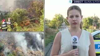 VIDEO Incendiu de proporții lângă București. 22 de mașini de pompieri s-au luptat cu flăcările la Glina