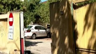 VIDEO Mai mulți polițiști din București au fost mușcați de ploșnițe la muncă