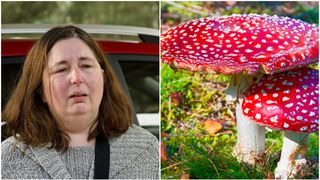 Femeia care s-a răzbunat pe familia soțului, gătind ciuperci otrăvitoare la prânz, a primit trei sentințe de închisoare pe viață