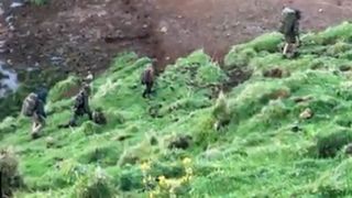 Tatăl și copiii, văzuți în sălbăticie