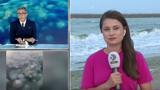 VIDEO Invazie de meduze în Portul Constanța: Fenomen natural sau efectul schimbărilor climatice