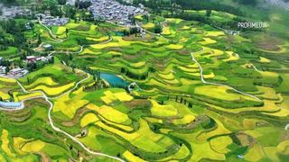 VIDEO Plantațiile spectaculoase de orez din China atrag foarte mulți turiști