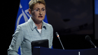 Fostul purtător de cuvânt NATO, despre convocarea articolului 4: "Putin nu se oprește dacă nu este oprit" Ce a declarat Oana Lungescu