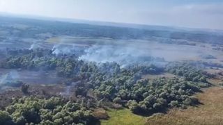 VIDEO Incendii devastatoare în Delta Dunării. Zeci de hectare au fost pârjolite în Tulcea