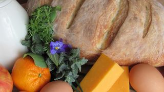 preturi plafonate, ilie bolojan, scumpiri