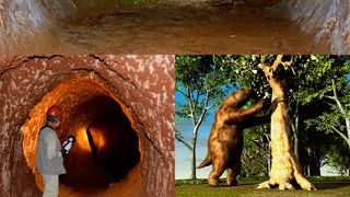 erau ca niște hamsteri "de mărimea unui elefant&rdquo; 