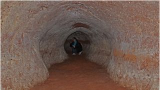 Tunelurile uriașe din Brazilia nu sunt făcute de oameni, spun savanții. "Erau ființe de mărimea unui elefant"