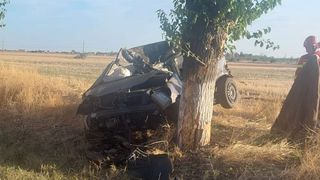 Un tânăr de 18 ani a murit după ce a intrat cu mașina într-un pom, în Olt