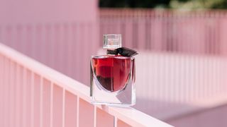 (P) Notino nu așteaptă Black Friday pentru a oferi reduceri pe cinste!