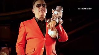 Blănoșii, în pas cu moda la Săptămâna Modei de la New York