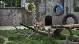 Gradina zoologică - Craiova