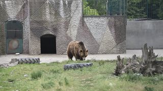 Gradina zoologică - Craiova
