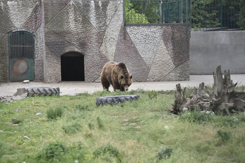 Gradina zoologică - Craiova