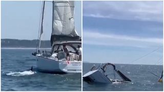 Un iaht s-a scufundat după ce a fost atacat de balene ucigașe, în largul coastelor Lisabonei