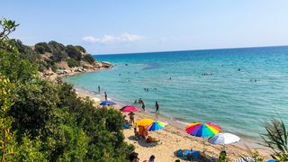 lup, halkidiki, grecia, copil atacat 