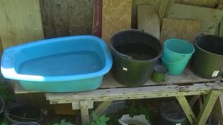 Căsuța lui Avram Pașca